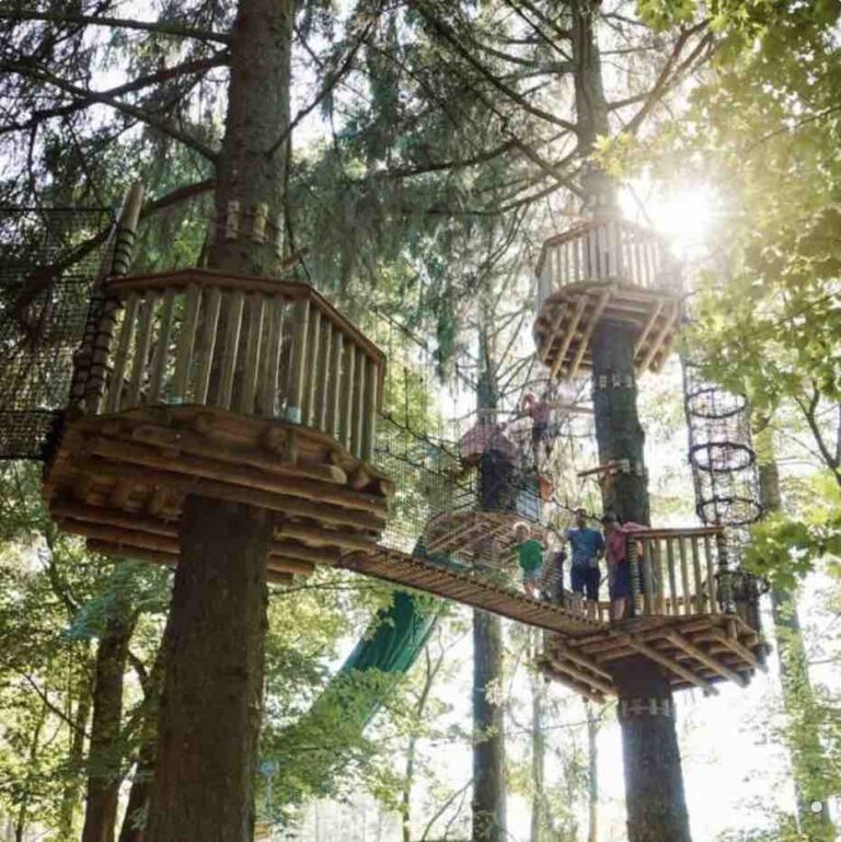 wow park klatrebaner mellem træerne