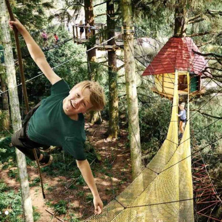 wow park Billund og skjern med trætop baner og huse mellem træerne